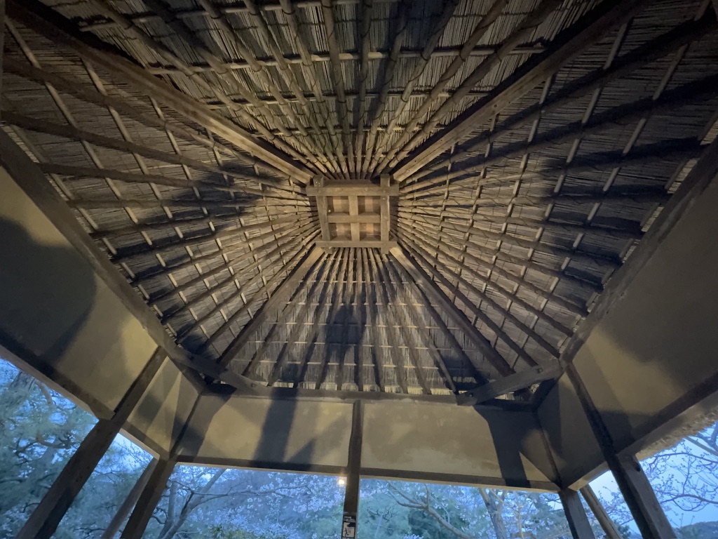 秋に紅葉する三溪園の庭園と、歴史ある建物が調和する絶景。和ごころの美