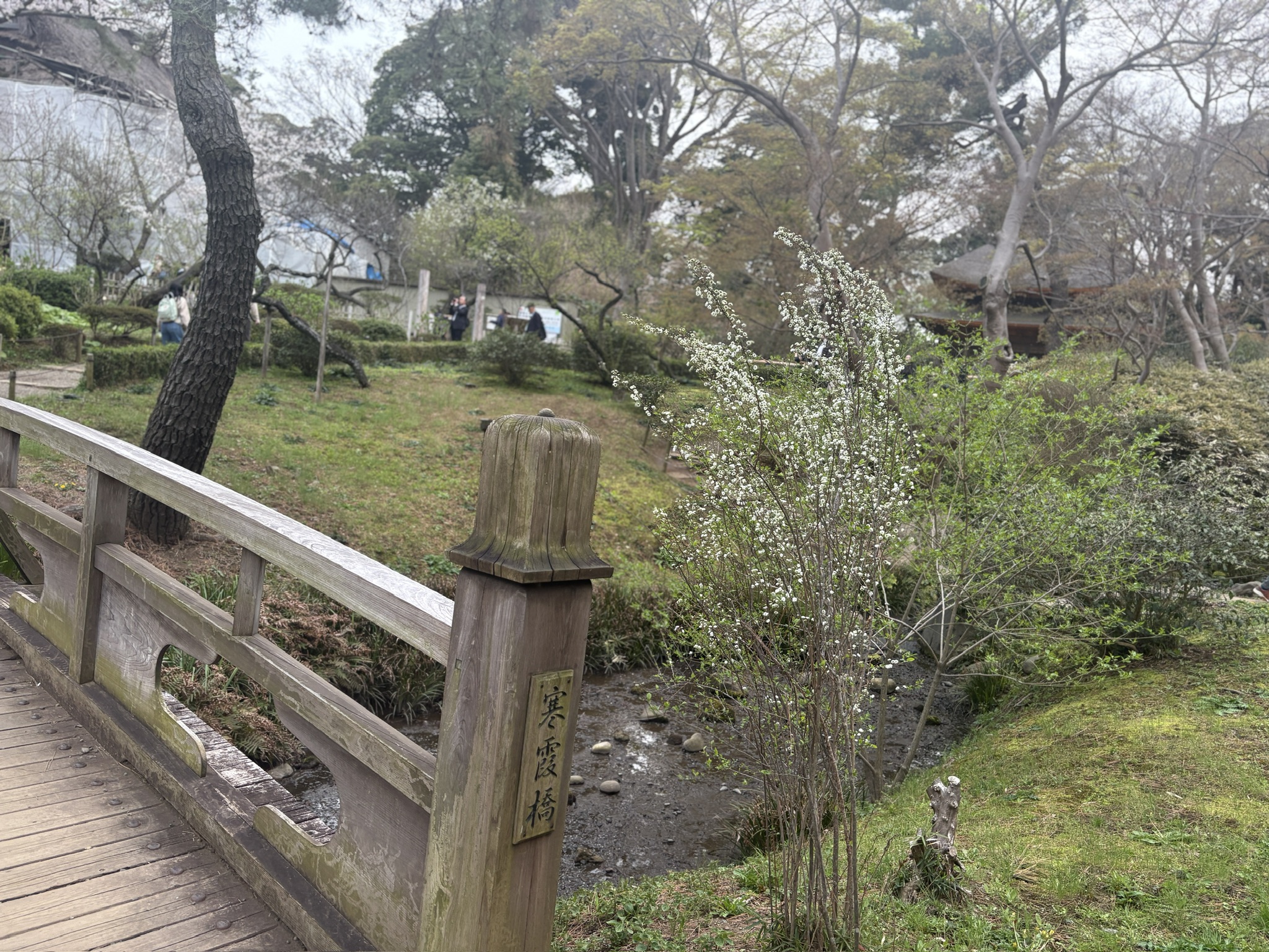 横浜・三渓園にある江戸時代初期に建てられた旧尾形家住宅。周囲の自然が織りなす和の景色。和ごころの美