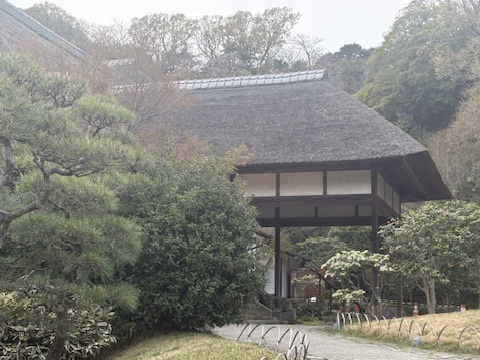 秋に紅葉する三溪園の庭園と、歴史ある建物が調和する絶景。和ごころの美