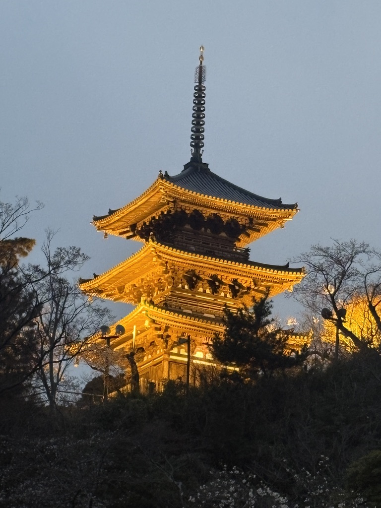 横浜の日本庭園「三溪園」の池と、重要文化財の旧燈明寺三重塔の風景。和ごころの美