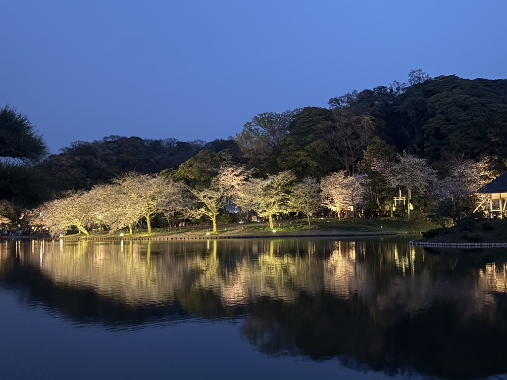 三渓園の池に映る夜桜の美しさ 祈りと美で心を整える日本文化なら和ごころの美